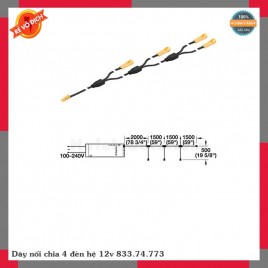 Dây nối chia 4 đèn hệ 12v 833.74.773